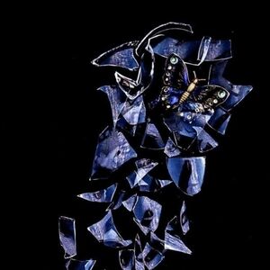 Meet your Posher, Bisi